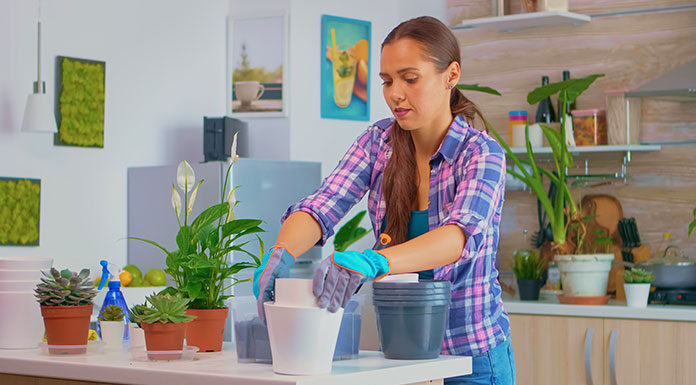 Jakie doniczki do storczyków wybrać