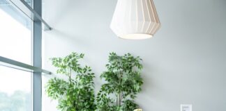 Czy można wejść z psem do IKEA?