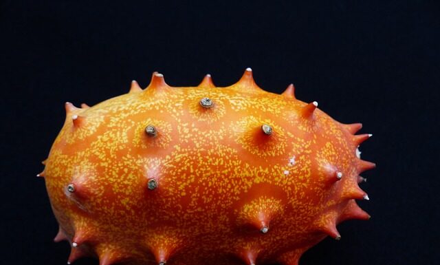 Czy ogórek to warzywo pestkowe?