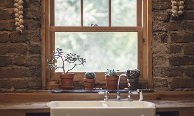 Czy groszek to warzywo strączkowe?