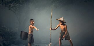 Kiedy ryba opada na dno?