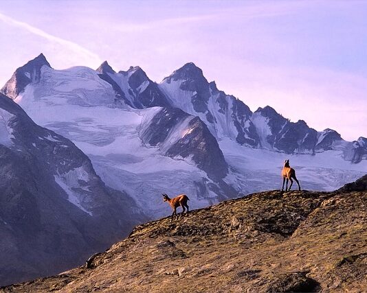Jaka kurtka na trekking w Himalajach?