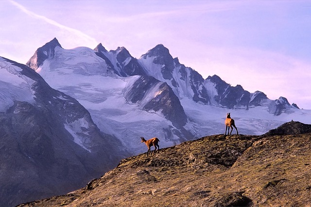 Jaka kurtka na trekking w Himalajach? Jaka kurtka na trekking w Himalajach?