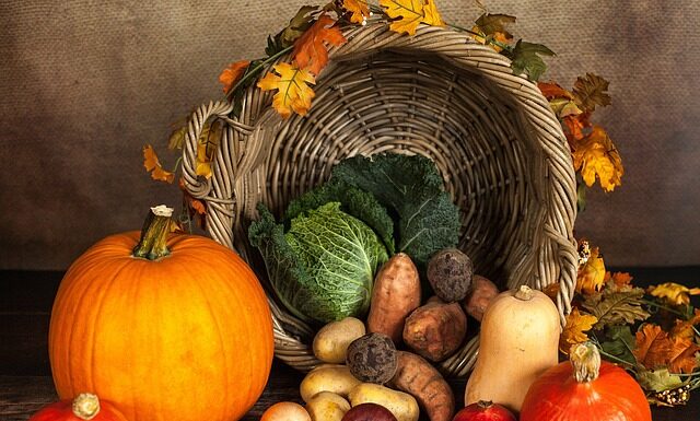 Czy dynia to warzywo?