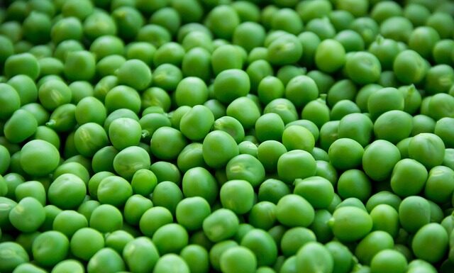 Czym się rożni groszek zielony od cukrowego?