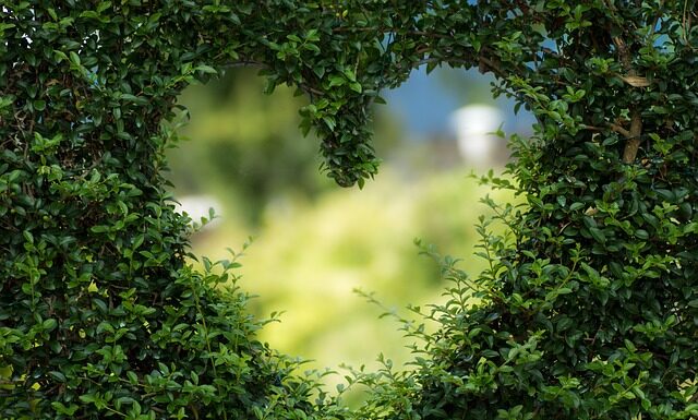 Jak założyć ogród na piasku?