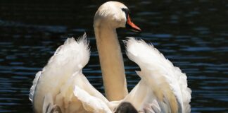 Kiedy wymienić fotelik na 13 kg?