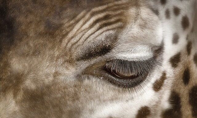 Jak usunąć trudne plamy z ubrań?