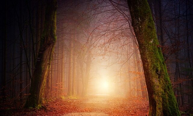 Jak zmienić kolor ubrań?