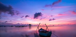 Jaki kolor lasera w poziomicy? Jaki kolor lasera w poziomicy?