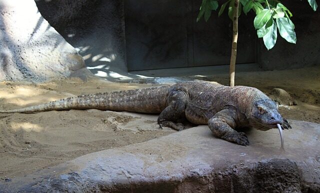 Co nad komodę w salonie?