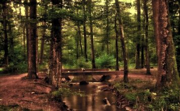 Czy lustro pasuje do salonu?