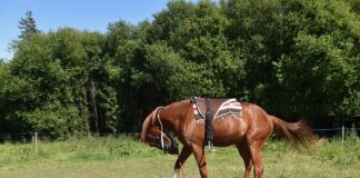 Jak zamontować lustro?