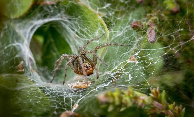 Co to znaczy lejki? Co to znaczy lejki?