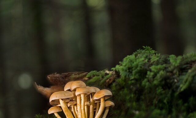 Jakie listwy do łazienki?