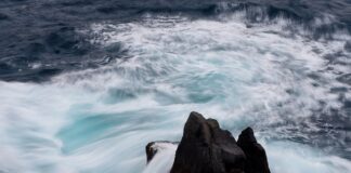 Od czego zależy cena lustra?