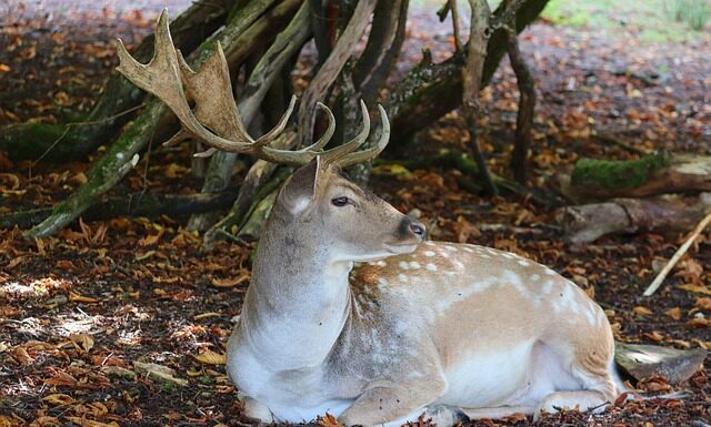 Jak się sika na stojąco? Jak się sika na stojąco?