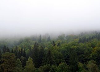 Jak zasłonić lustro? Jak zasłonić lustro?