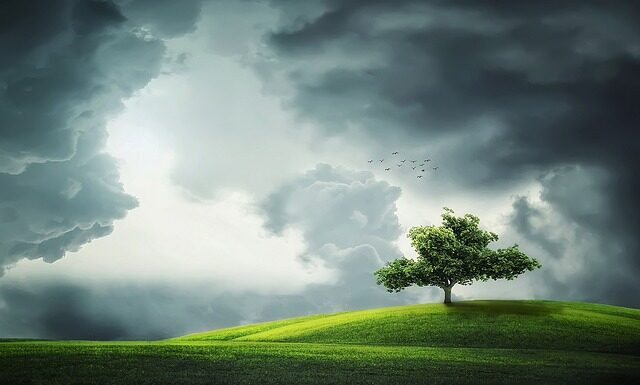 Jaki laser lepszy zielony czy niebieski?