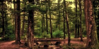 Jak powiesić lustro w przedpokoju?