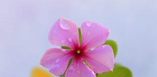 Do jakiej wysokości kłaść płytki w kuchni?