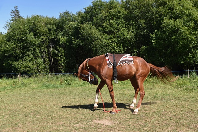 Na co montować listwy przypodłogowe MDF? Na co montować listwy przypodłogowe MDF?