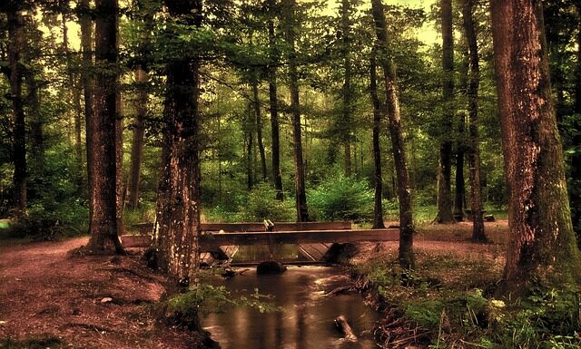 Czy lustro odbija fale? Czy lustro odbija fale?